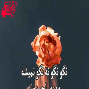 دانلود آهنگ آهنگ نگو نگو نه نگو نمیشه از مهدی احمدوند + متن ترانه