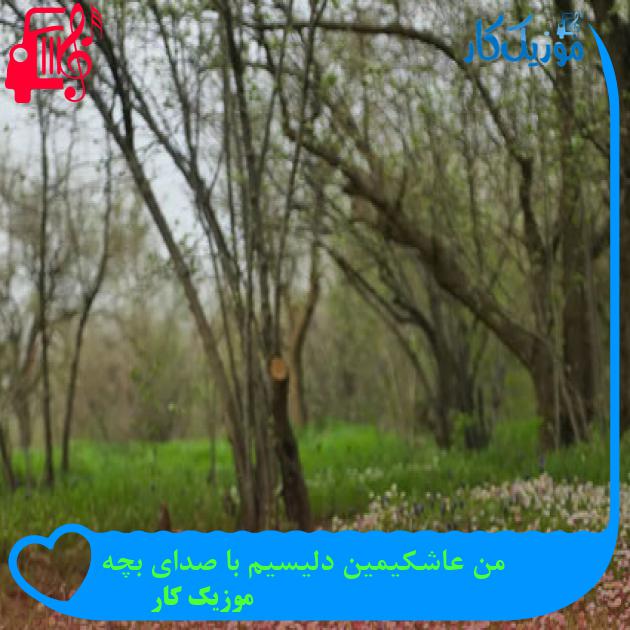 آهنگ من عاشکیمین دلیسیم با صدای بچه از موزیک کار آهنگ من عاشکیمین دلیسیم با صدای بچه از موزیک کار