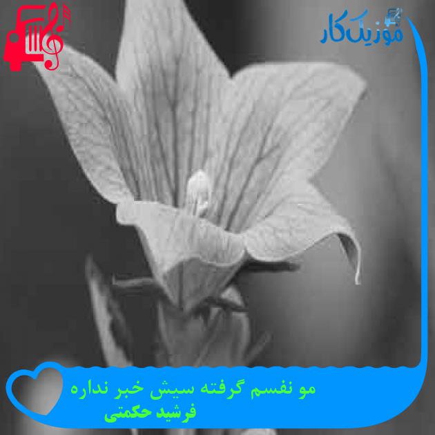 آهنگ مو نفسم گرفته سیش خبر نداره از فرشید حکمتی + متن ترانه آهنگ مو نفسم گرفته سیش خبر نداره از فرشید حکمتی + متن ترانه
