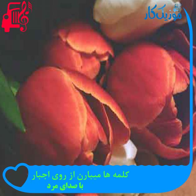 آهنگ کلمه ها میبارن از روی اجبار از با صدای مرد + متن ترانه آهنگ کلمه ها میبارن از روی اجبار از با صدای مرد + متن ترانه