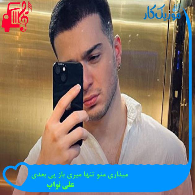 آهنگ میذاری منو تنها میری باز پی بعدی از علی نواب