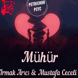 دانلود آهنگ آهنگ Muhur از Mustafa Ceceli + متن ترانه