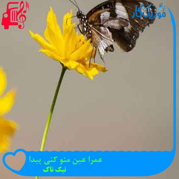 آهنگ عمرا عین منو کنی پیدا از تیک تاک + متن ترانه آهنگ عمرا عین منو کنی پیدا از تیک تاک + متن ترانه