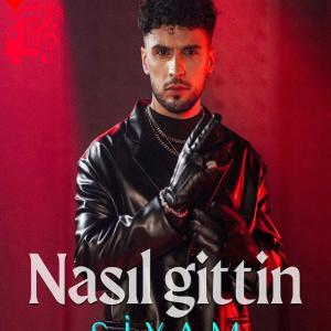 دانلود آهنگ آهنگ Nasıl Gittin از Siyam