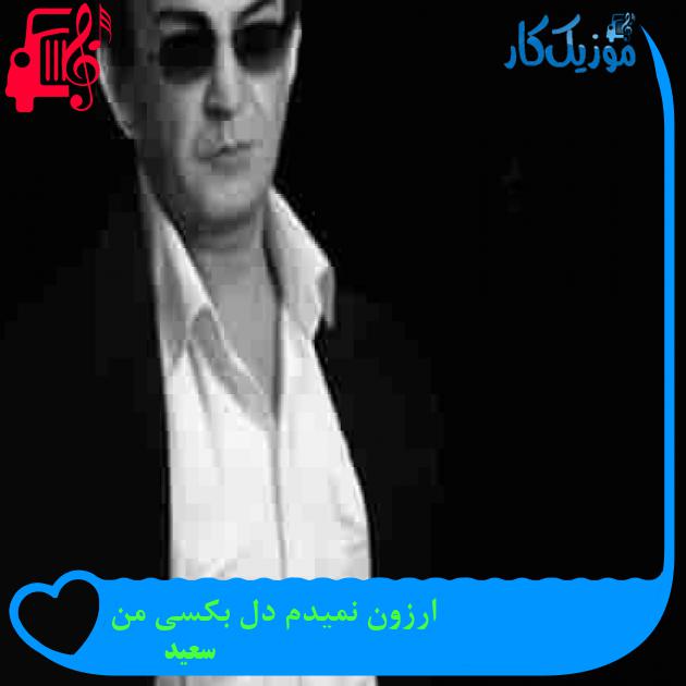 آهنگ ارزون نمیدم دل بکسی من از سعید + متن ترانه آهنگ ارزون نمیدم دل بکسی من از سعید + متن ترانه