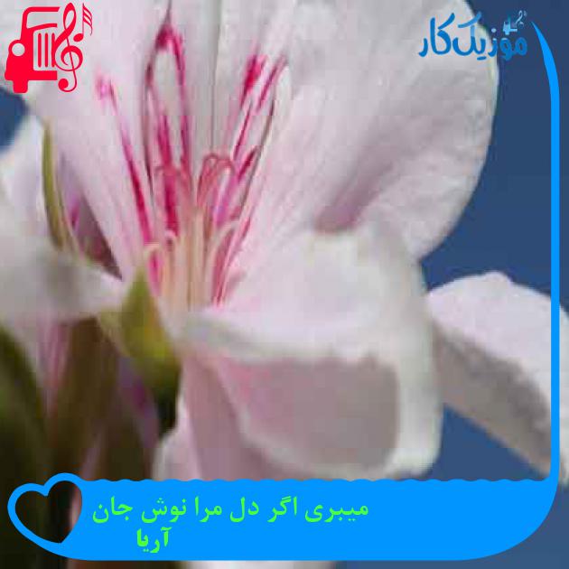 آهنگ میبری اگر دل مرا نوش جان از آریا + متن ترانه