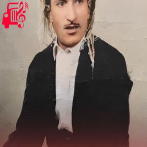 کاور آهنگ کردی ام روژی سالی تازه یه نوروزه هاتوه از حسن زیرک + متن ترانه اثر حسن زیرک