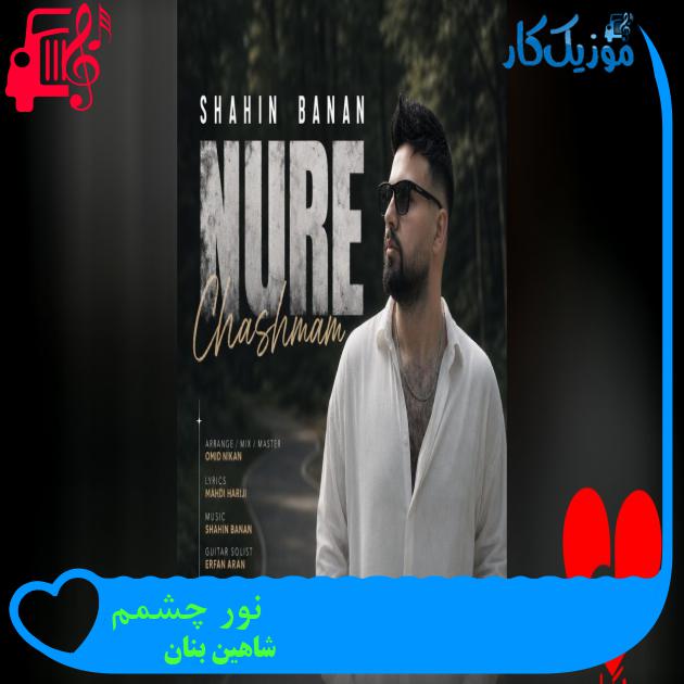 نور چشمم برگ برندم تویی