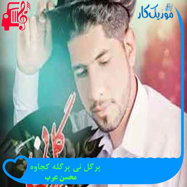 آهنگ پرگل نی پرگله کجاوه از محسن عرب + متن ترانه