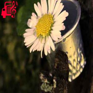 دانلود آهنگ آهنگ رفیق نیزانی چنی ویرانم از پوریا ملکی + متن ترانه