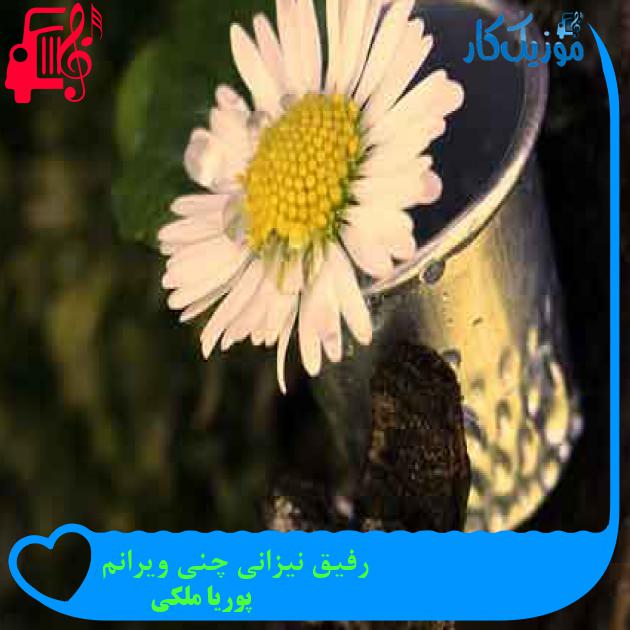 آهنگ رفیق نیزانی چنی ویرانم از پوریا ملکی + متن ترانه آهنگ رفیق نیزانی چنی ویرانم از پوریا ملکی + متن ترانه