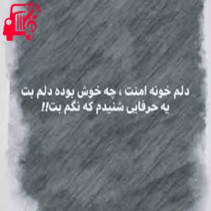 دانلود آهنگ آهنگ دلم خونه امنت از علیرضا طلیسچی + متن ترانه