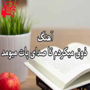 دانلود آهنگ آهنگ ذوق میکردم تا صدای از سینا پارسیان + متن ترانه