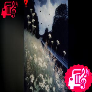 دانلود آهنگ آهنگ رنگ مسی از ONEDAM