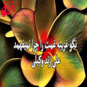 دانلود آهنگ آهنگ نگو غریبه غمت از علی زند وکیلی + متن ترانه