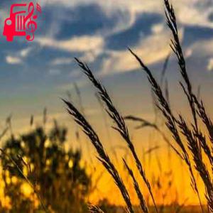 کاور آهنگ تنهایی خوشگلتره از ریمیکس + متن ترانه اثر ریمیکس