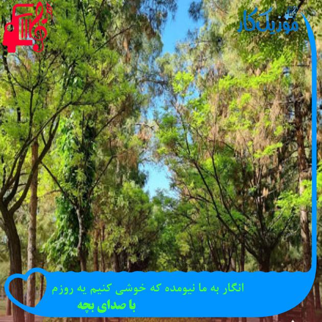 آهنگ مهره ماره چشات عالمی داره چشات از با صدای بچه + متن ترانه