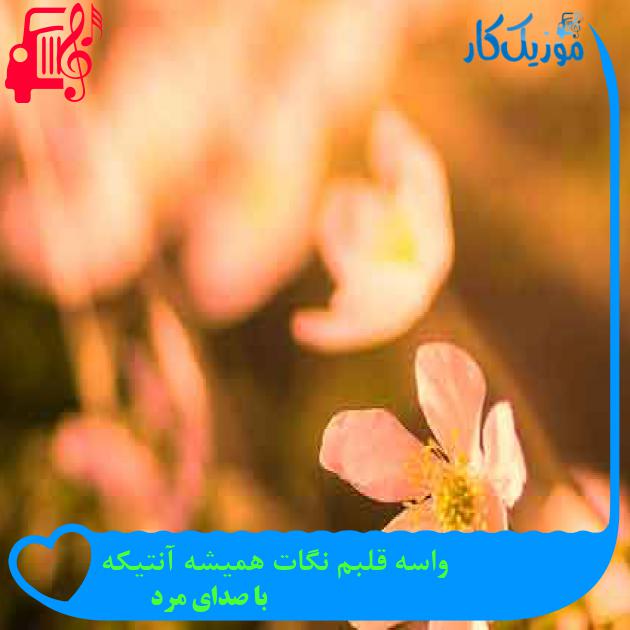 آهنگ واسه قلبم نگات همیشه آنتیکه از با صدای مرد + متن ترانه آهنگ واسه قلبم نگات همیشه آنتیکه از با صدای مرد + متن ترانه