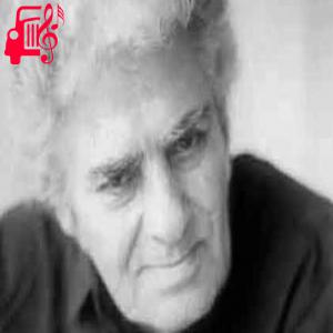 کاور آهنگ روزی ما دوباره کبوترهایمان را پیدا خواهیم کرد از احمد شاملو + متن ترانه اثر احمد شاملو