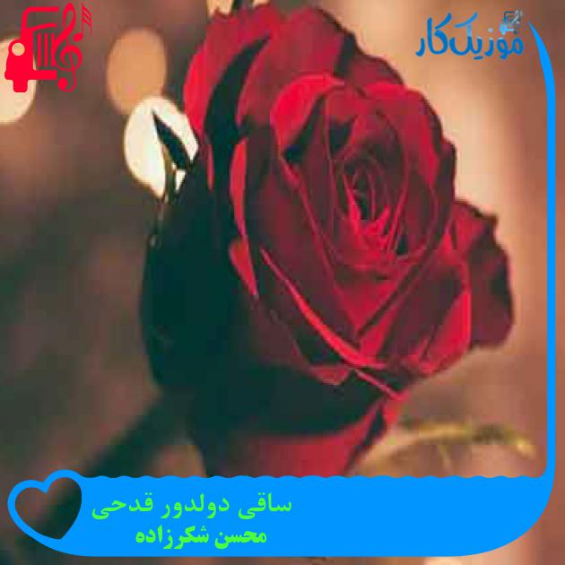 آهنگ ساقی دولدور قدحی از محسن شکرزاده + متن ترانه