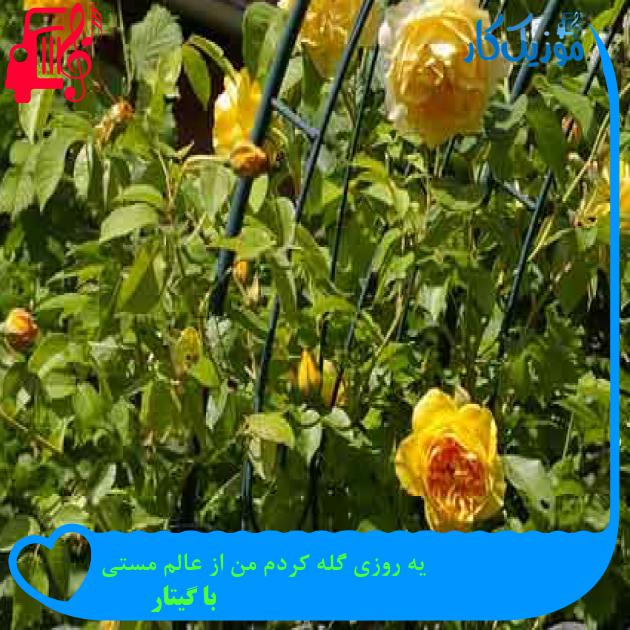 آهنگ یه روزی گله کردم من از عالم مستی از با گیتار + متن ترانه