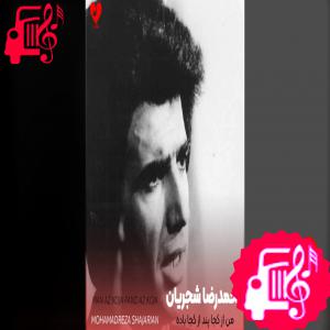 کاور آهنگ ساقیا از محمدرضا شجریان اثر محمدرضا شجریان