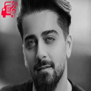 دانلود آهنگ آهنگ نفس کشیدنم میچسبه با تو از بردیا بهادر + متن ترانه
