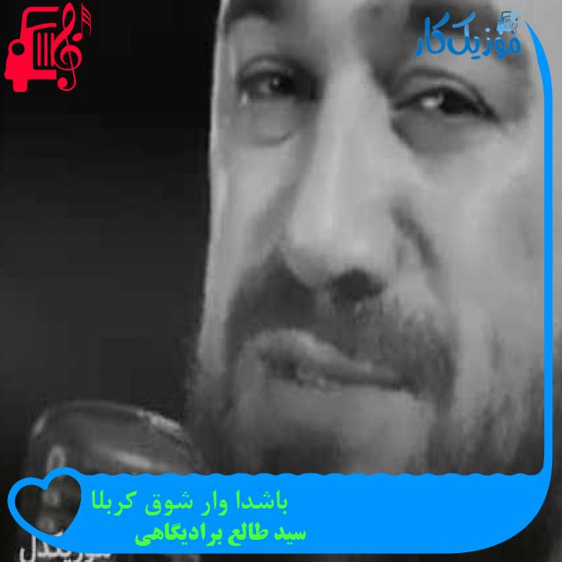 آهنگ باشدا وار شوق کربلا از سید طالع برادیگاهی + متن ترانه