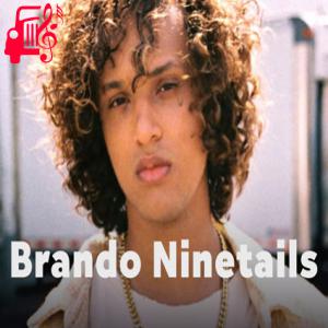دانلود آهنگ آهنگ Saturday Night (Feel The Groove) از Brando Ninetails + متن ترانه
