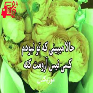 دانلود آهنگ آهنگ حالا میبینی که تو نبودم از مصطفی یگانه + متن ترانه