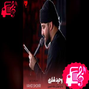 کاور آهنگ به تو میگن شاه حسین سلام الله از وحید شکری اثر وحید شکری