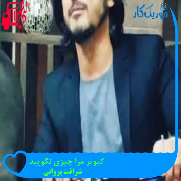 آهنگ کبوتر مرا چیزی نگویید از شرافت پروانی + متن ترانه