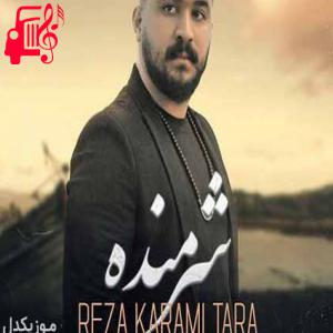 دانلود آهنگ آهنگ حس خوبی دایده پیم از رضا کرمی تارا + متن ترانه
