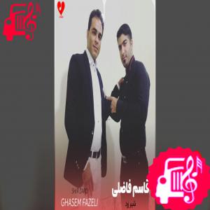 کاور آهنگ شیر زرد (سه اجرای متفاوت) از قاسم فاضلی اثر قاسم فاضلی