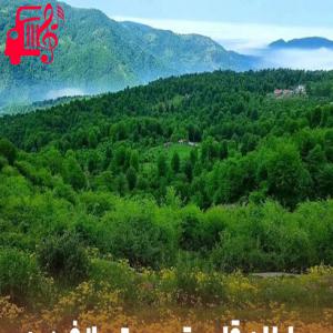 کاور آهنگ سلطان قلبم تو هستی از فردین + متن ترانه اثر فردین