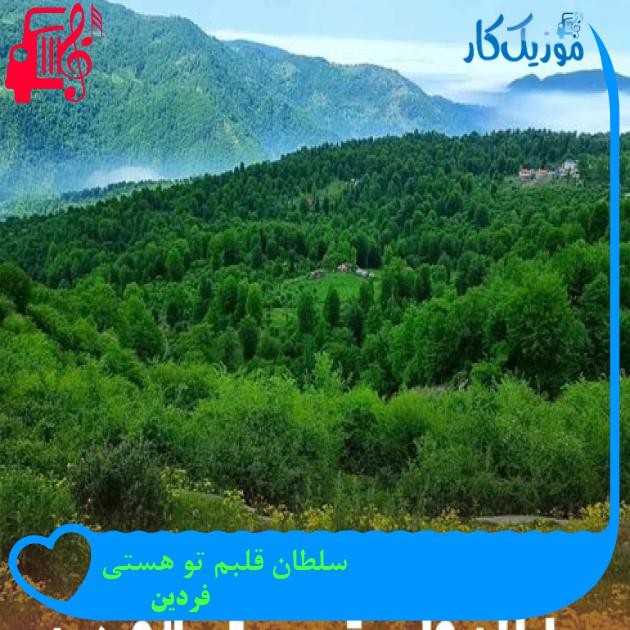 آهنگ سلطان قلبم تو هستی از فردین + متن ترانه