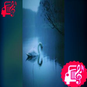 دانلود آهنگ آهنگ Swans از Noturtype