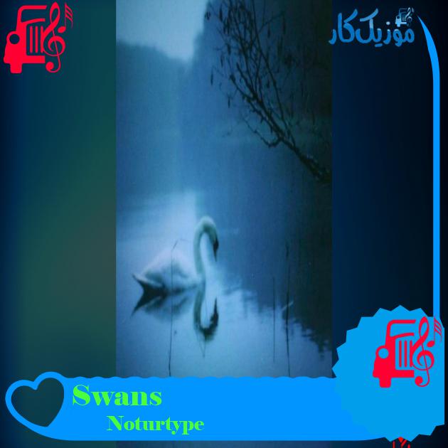 آهنگ Swans از Noturtype آهنگ Swans از Noturtype