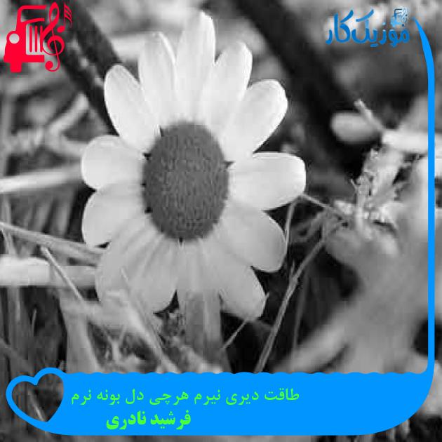 آهنگ طاقت دیری نیرم هرچی دل بونه نرم از فرشید نادری + متن ترانه آهنگ طاقت دیری نیرم هرچی دل بونه نرم از فرشید نادری + متن ترانه
