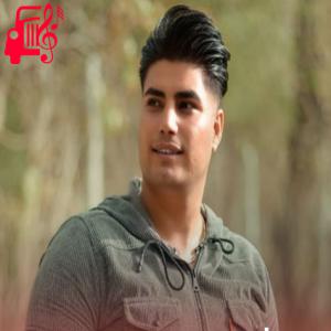 دانلود آهنگ آهنگ موی سرت رنگ شراب از امین فالجی