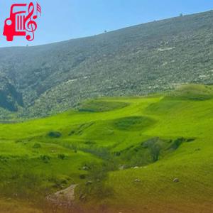 کاور آهنگ ته بیا دلبر من شه ایرانا روین از موزیک کار اثر موزیک کار