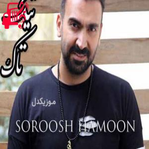 دانلود آهنگ آهنگ عشقم عشقی از بس دل من دل بهت بست از سروش هامون + متن ترانه