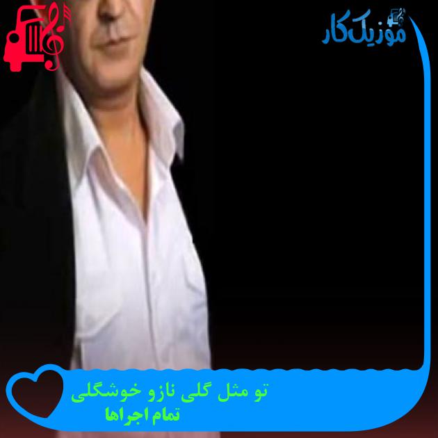 آهنگ تو مثل گلی نازو خوشگلی از تمام اجراها + متن ترانه آهنگ تو مثل گلی نازو خوشگلی از تمام اجراها + متن ترانه