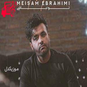 دانلود آهنگ آهنگ میدونی چقد صورت من شونتو کم داره از میثم ابراهیمی + متن ترانه