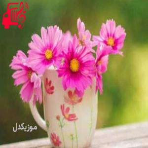 دانلود آهنگ آهنگ tujamo cream از موزیک کار
