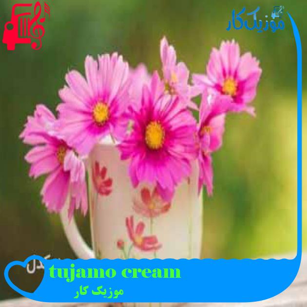 آهنگ tujamo cream از موزیک کار آهنگ tujamo cream از موزیک کار
