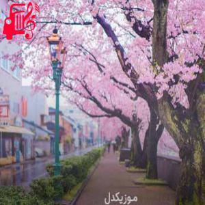کاور آهنگ وناو قبیله دلم مه یه تنه عاشقتم از محمد محمدی + متن ترانه اثر محمد محمدی