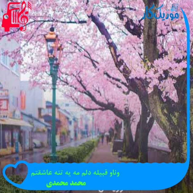 آهنگ وناو قبیله دلم مه یه تنه عاشقتم از محمد محمدی + متن ترانه