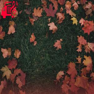 دانلود آهنگ آهنگ We fell in love in October از موزیک کار + متن ترانه