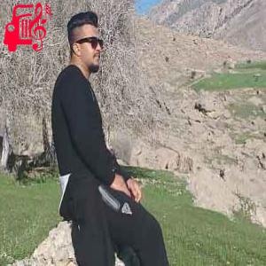 دانلود آهنگ آهنگ زمونه زمونه زمونه وای وای از داریوش آقازاده + متن ترانه